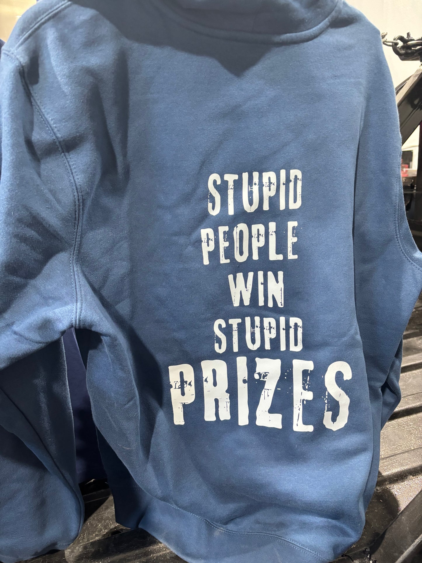 "Stupid People Win Stupid Prizes" Hoodie